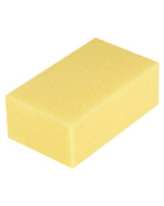 Porous sponge